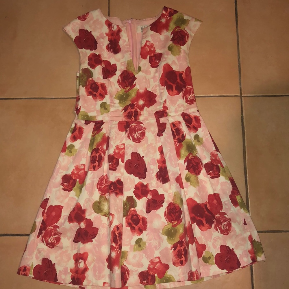 BB Dakota floral dress size 10